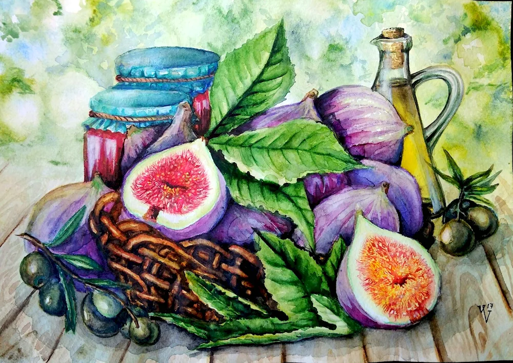 Sketching figs