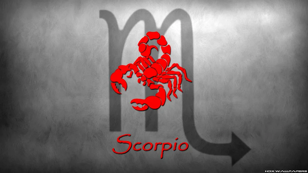 Scorpion