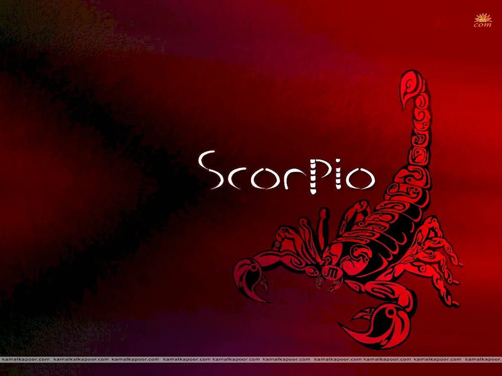 Scorpio