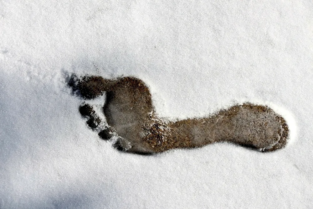 Coloured footprints for kids