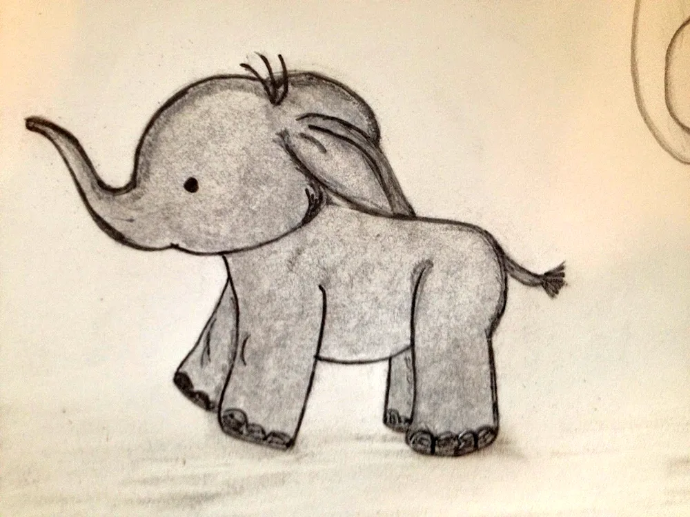 Elephant pencil drawing for drawing