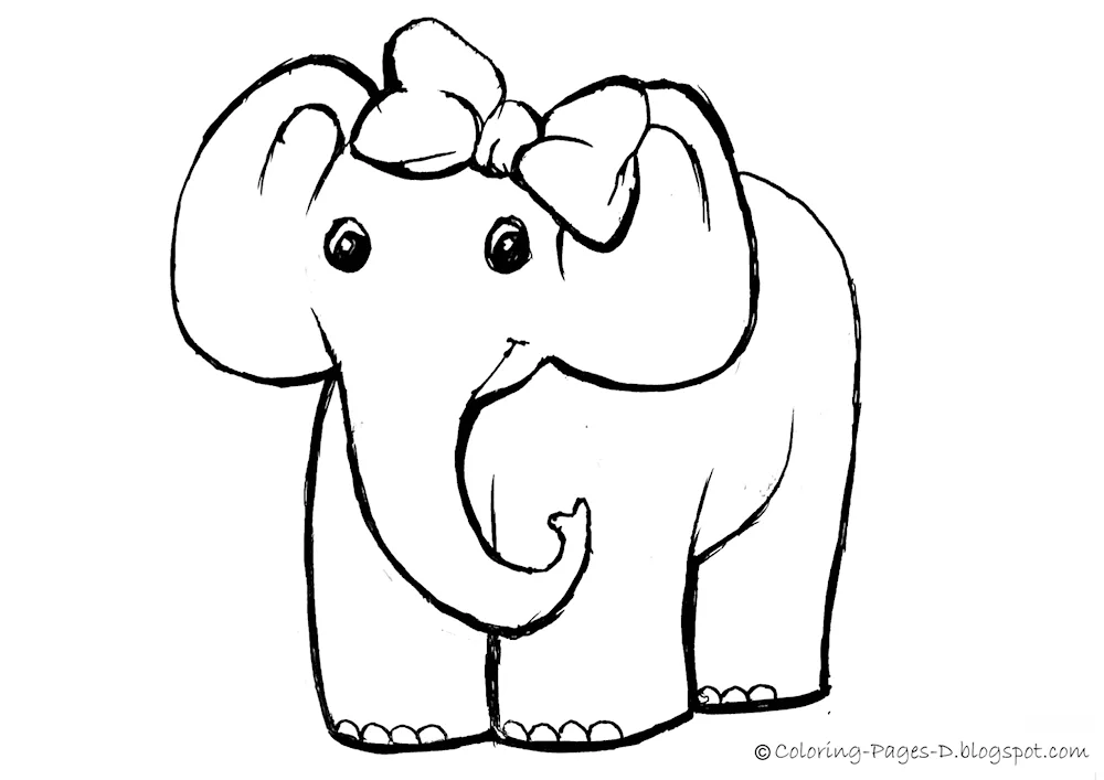 Elephant drawing