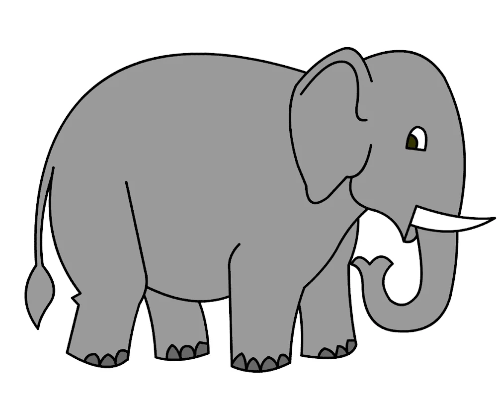 Elephant drawing