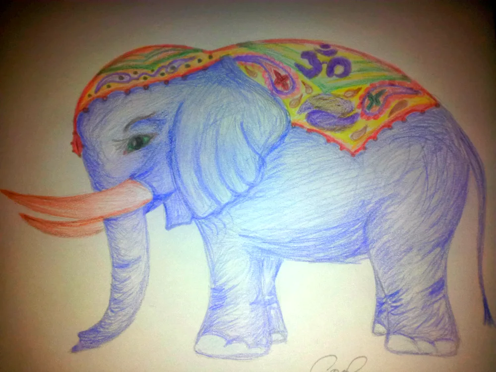 Elephant drawing