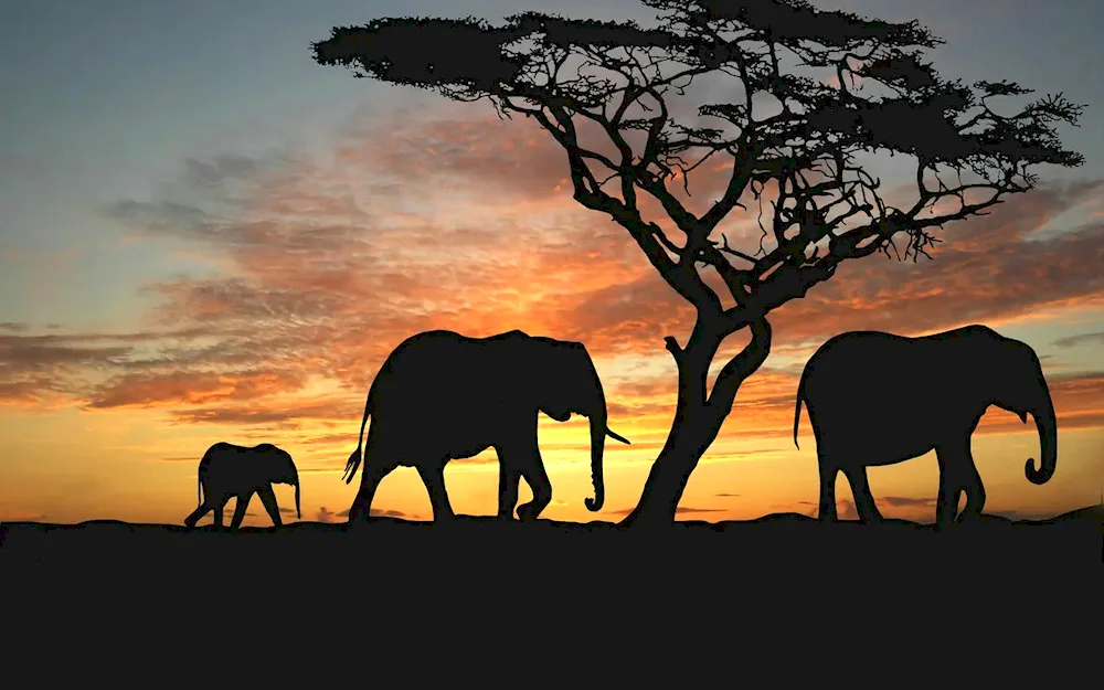 African style paintings