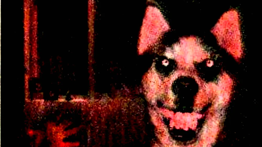 Smile Dog Original Husky