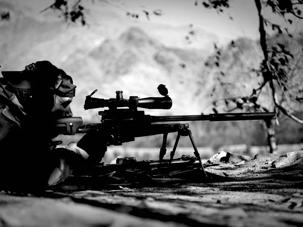 Camouflage by Heckler Koch
