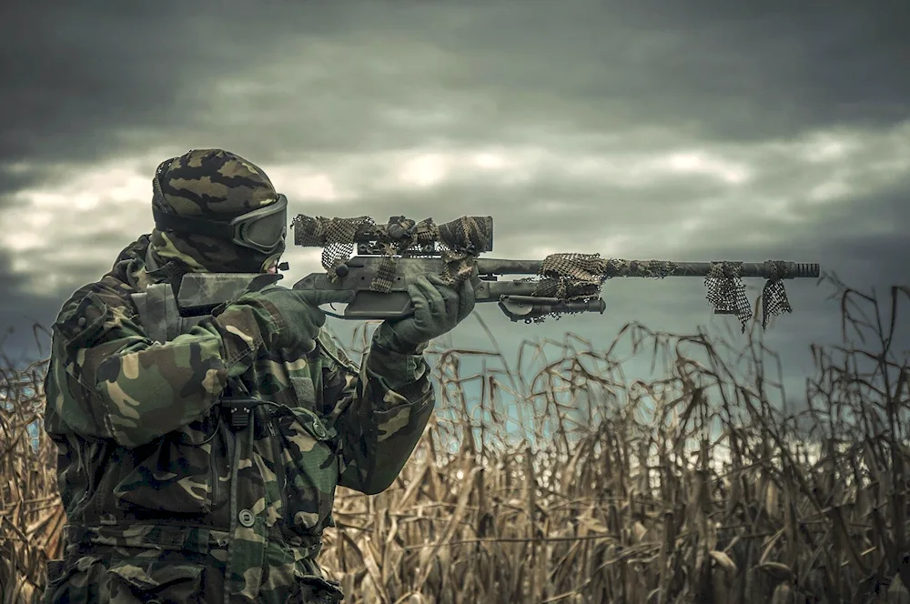 Sniper SDF with SVD