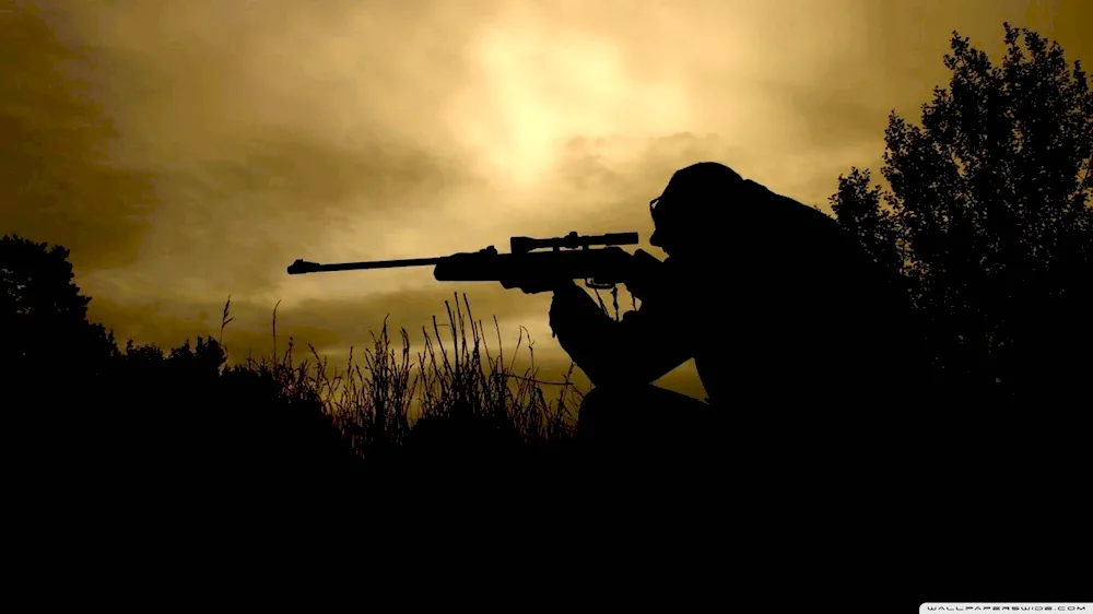 Sniper rifle dusk