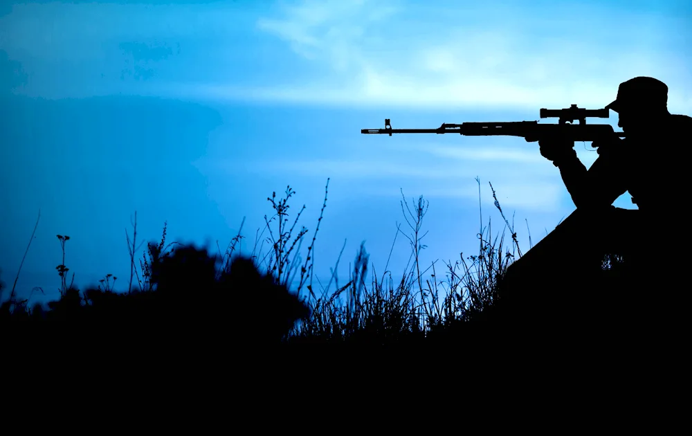 Sniper rifle SVD