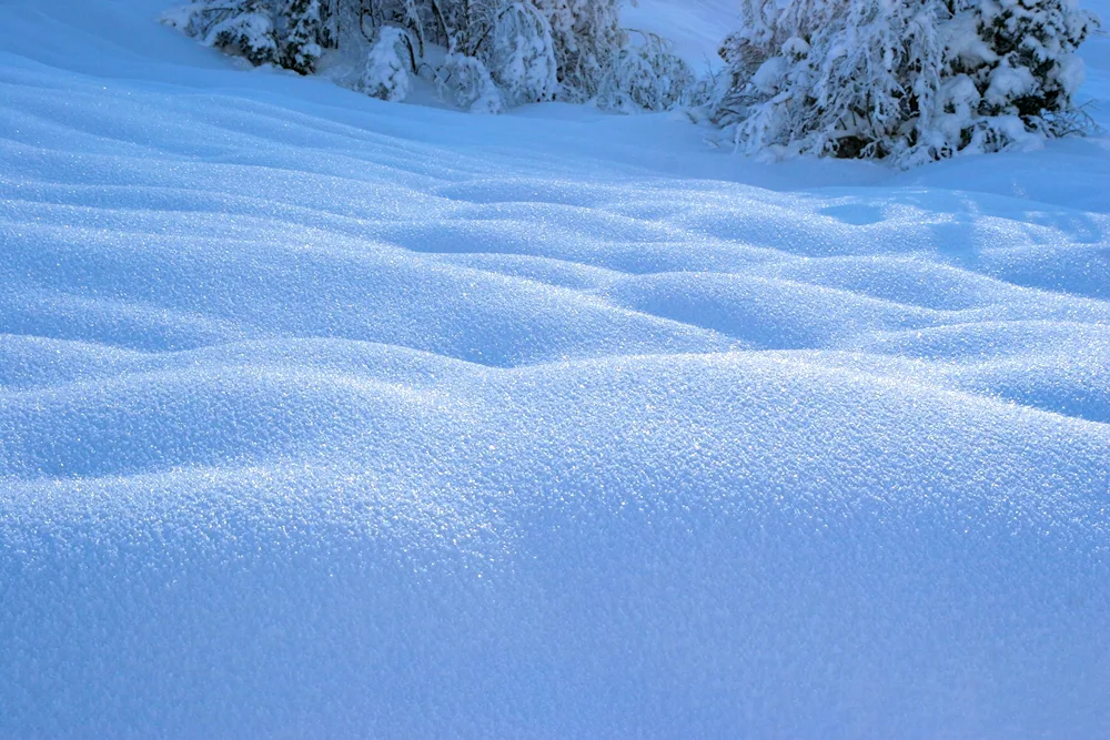 Winter backgrounds