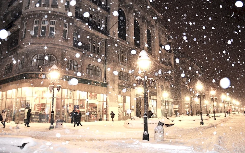 New-... York Central Park winter night