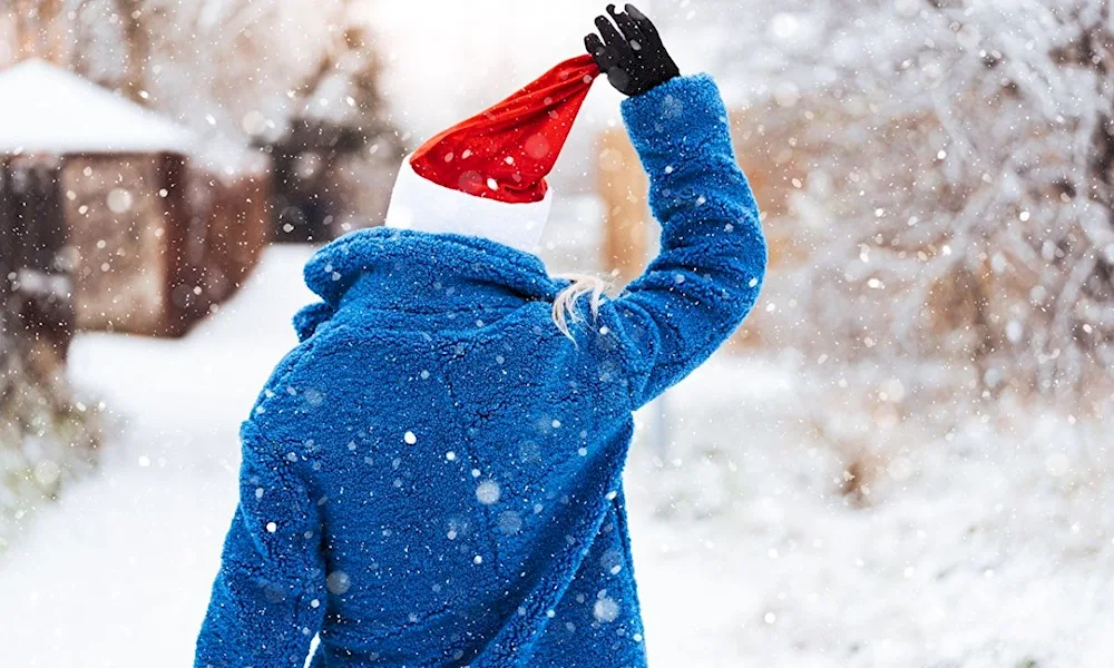 Snow in hands