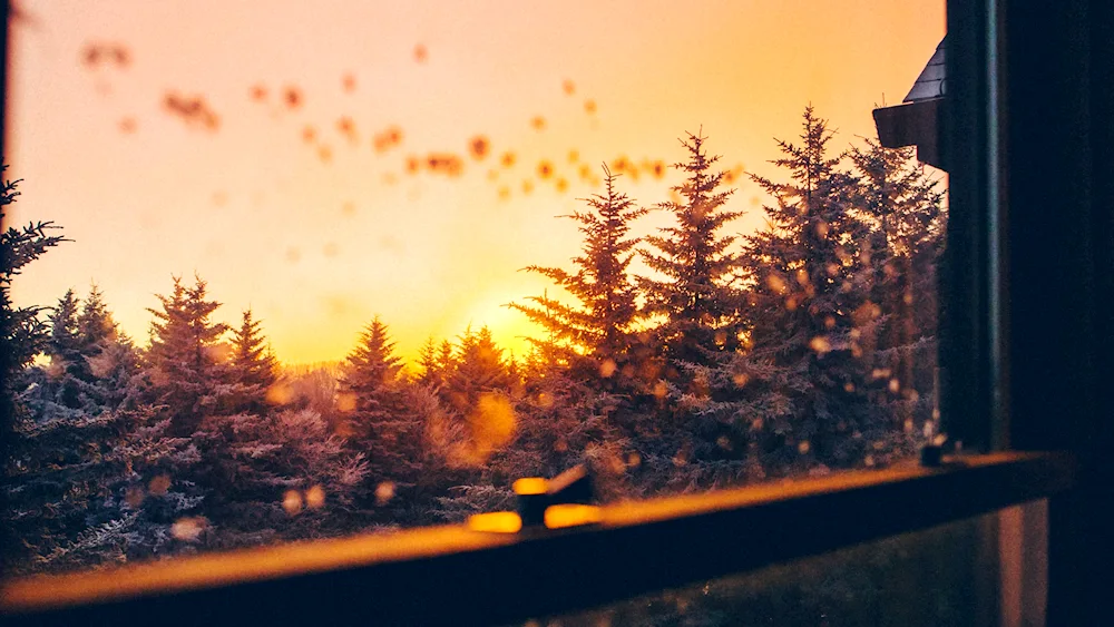 Winter window with winter landscape