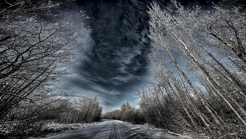 Winter in the countryside