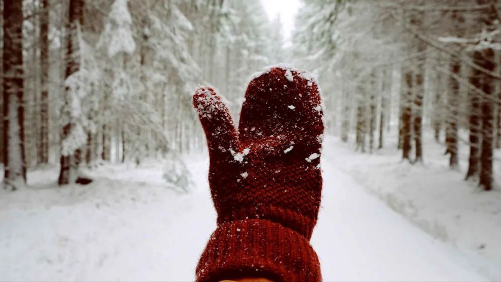 Snowflake on a mitten