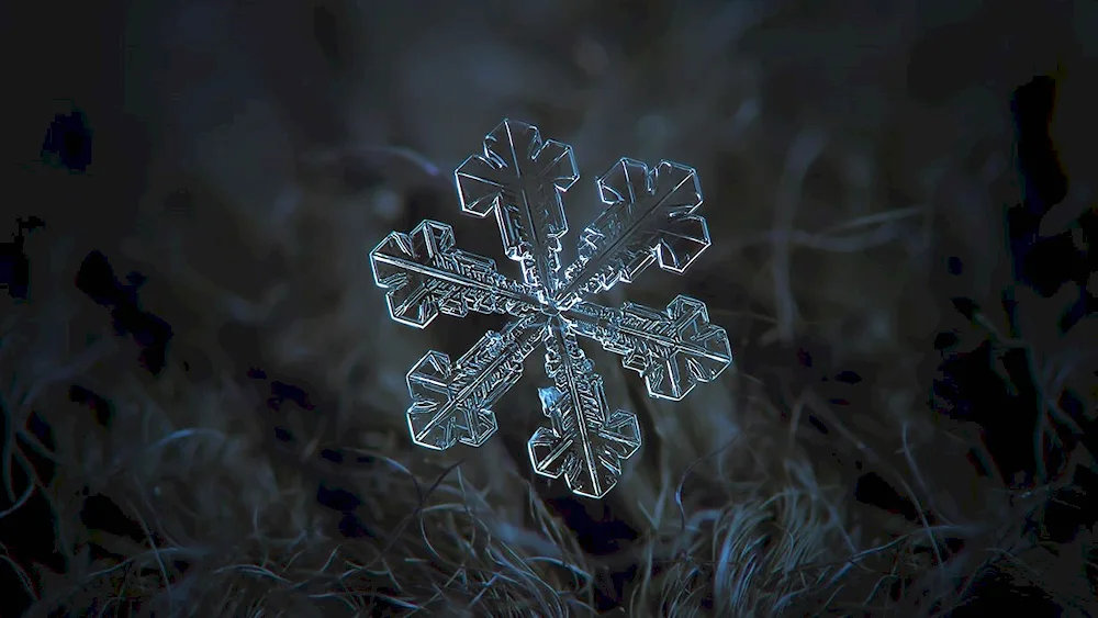 New Year Snowflake