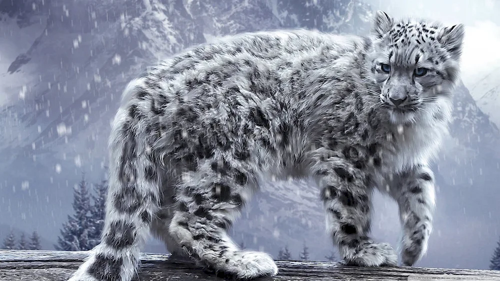 Snow Leopard Irbis