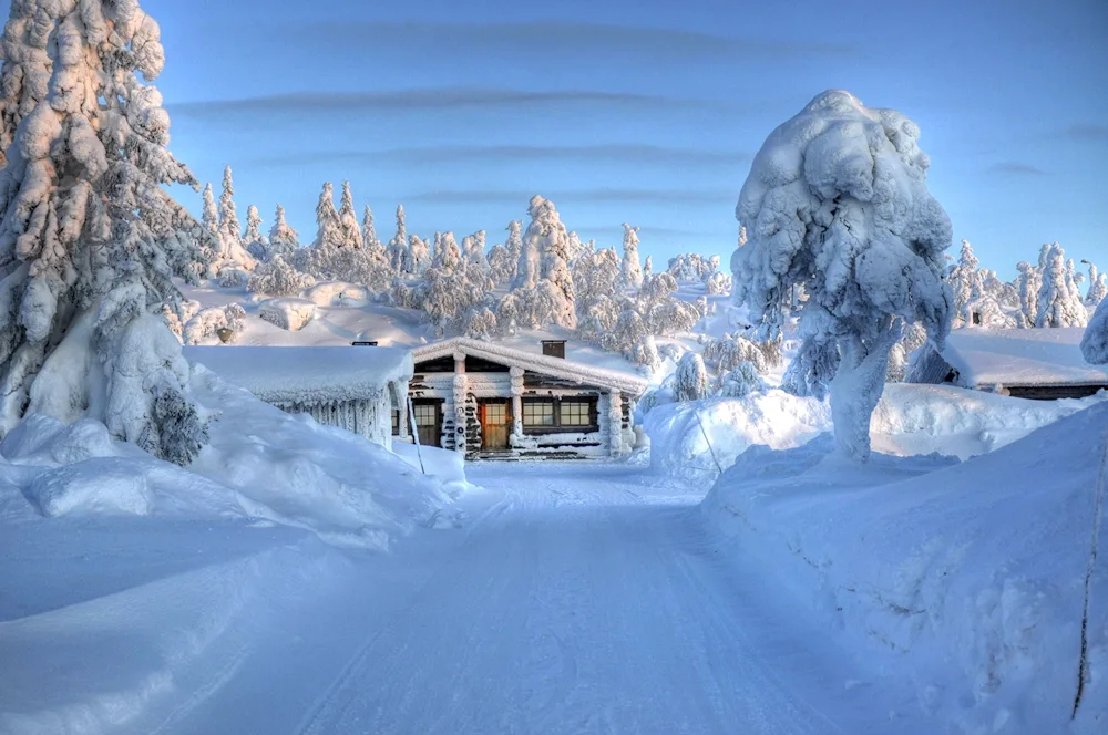 Fairytale winter forest