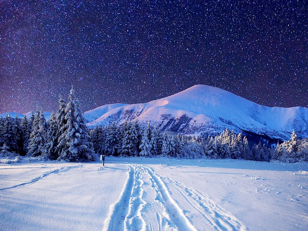 Snowy landscape