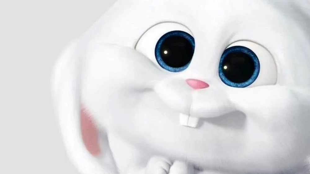 The Secret Life of Pets 2 snowball