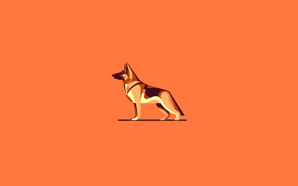 Beagle dog