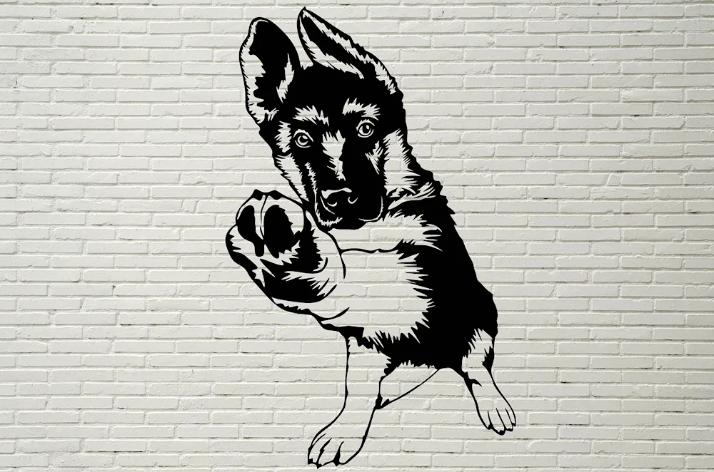 Laika drawing