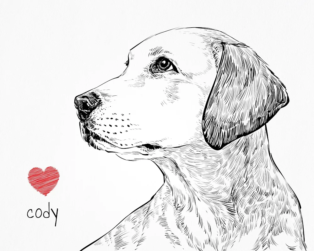 Dog drawing