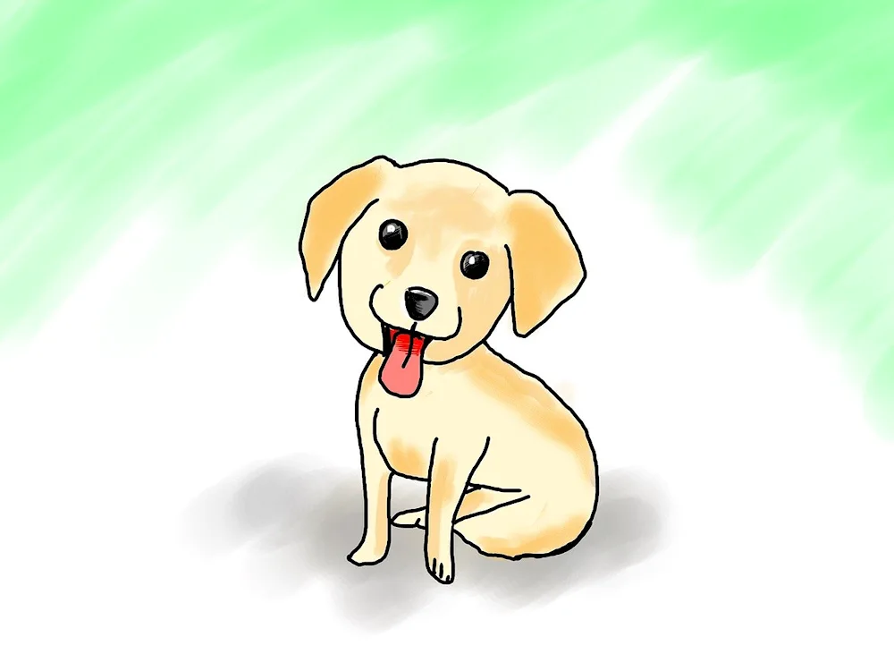 Bulterrier snap drawing