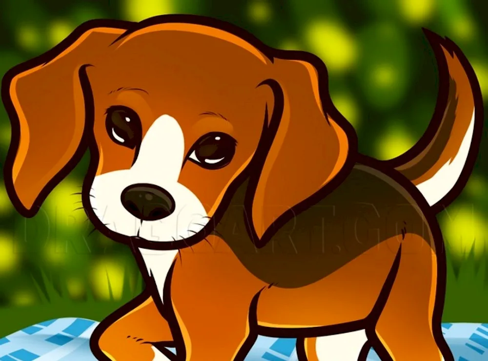 Cute animals