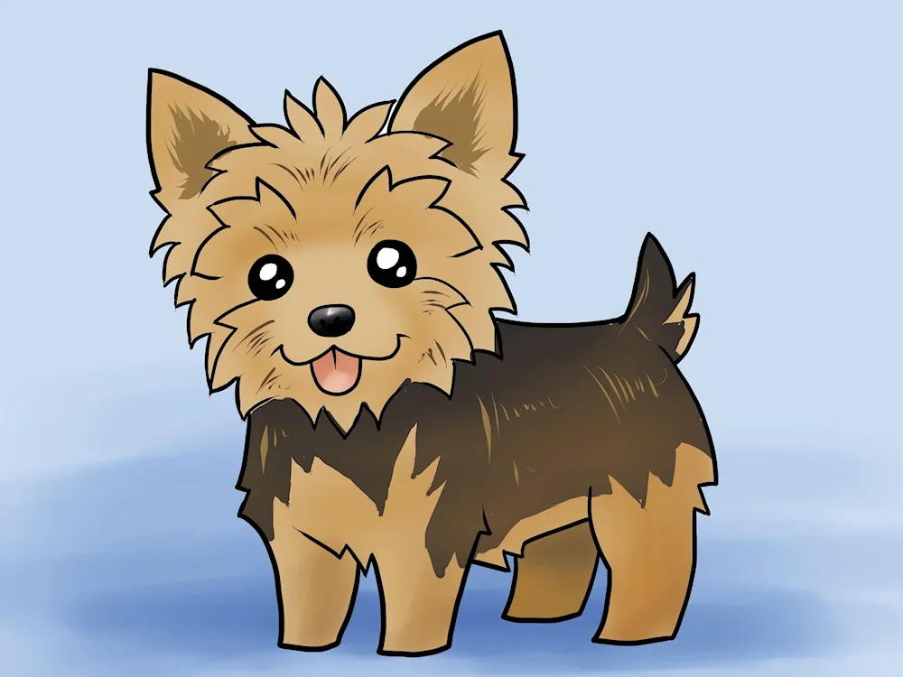 Dog colouring