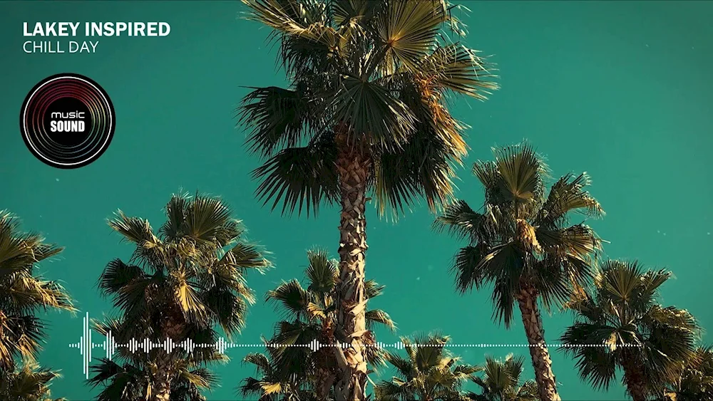 Sochi palms