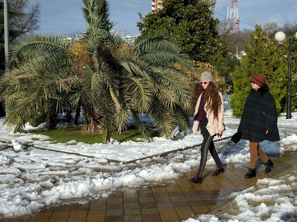 Sochi in December