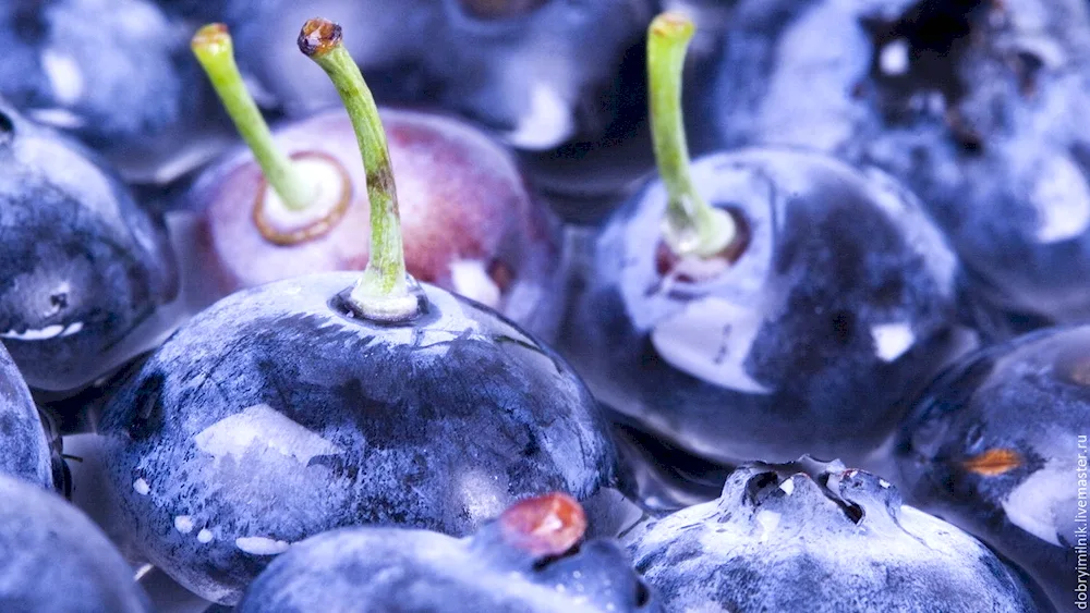 Blue berries
