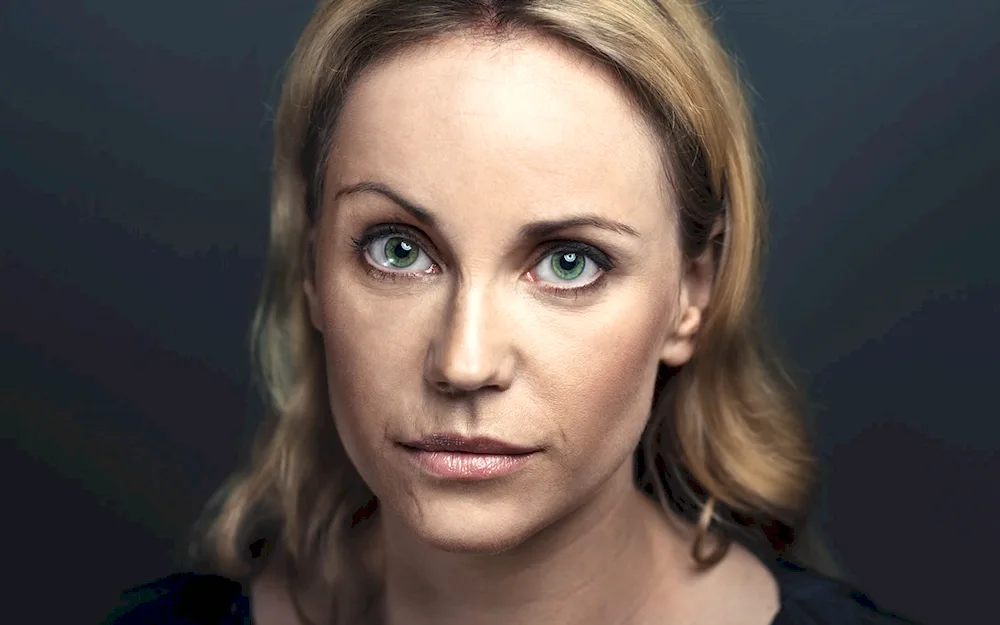 Sofia Helin series bridge