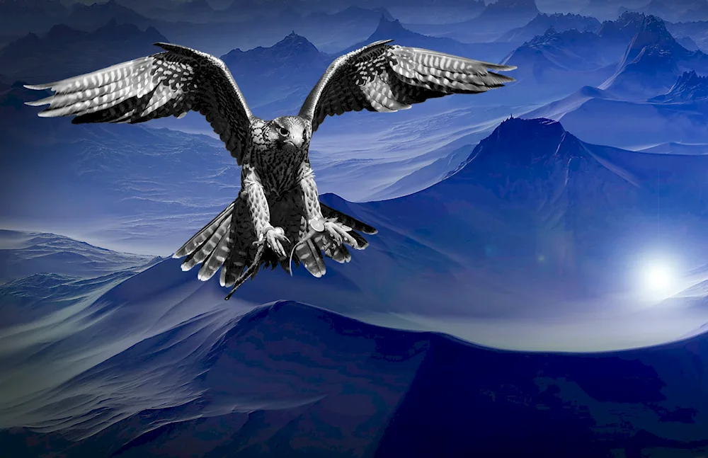 Birds of prey Falcon Peregrine falcon