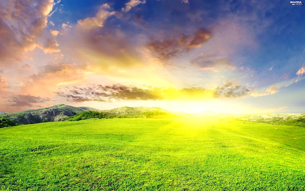 Sunny landscape
