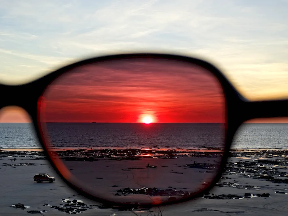 Sunglasses