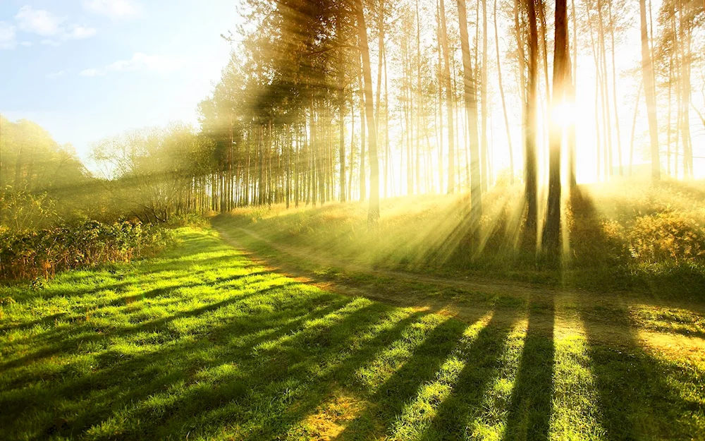 Nature sun