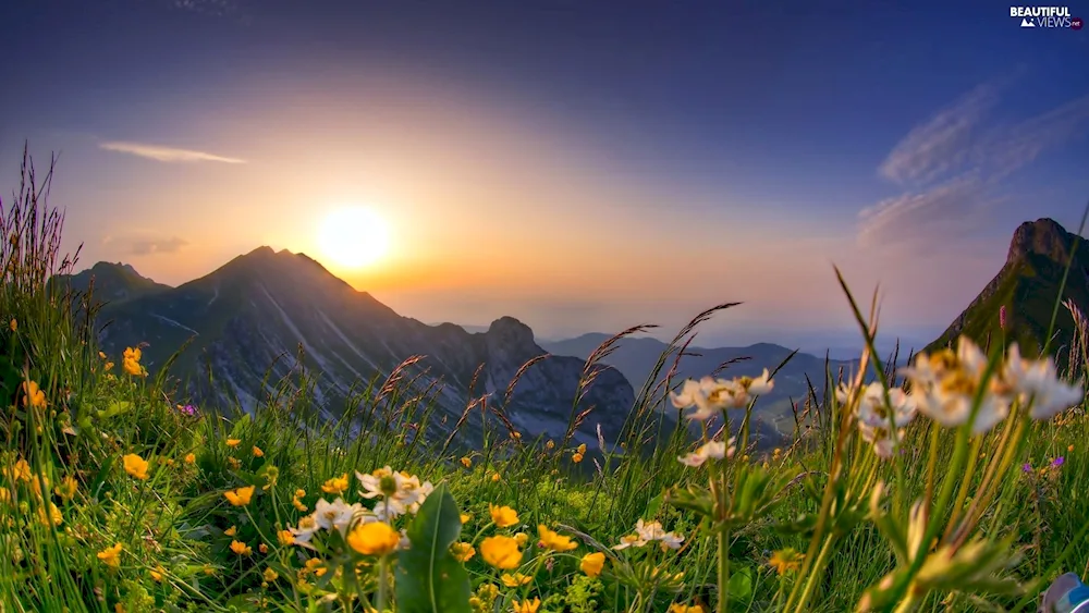 Spring sunset