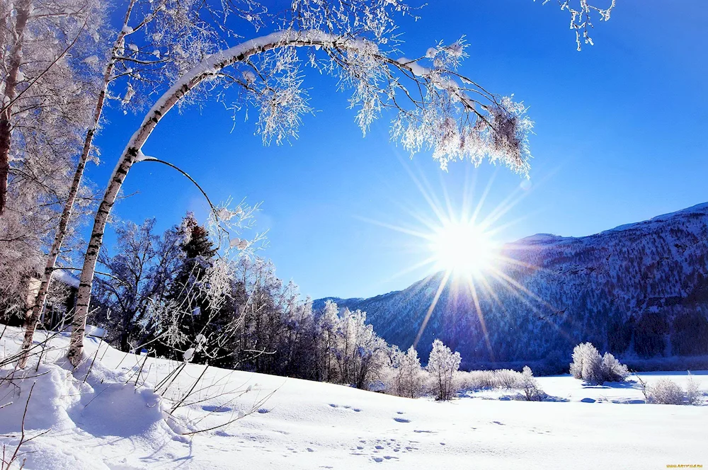 Winter sunny day