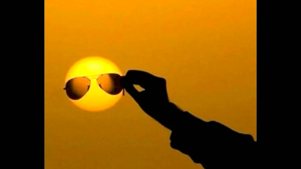 Sunglasses