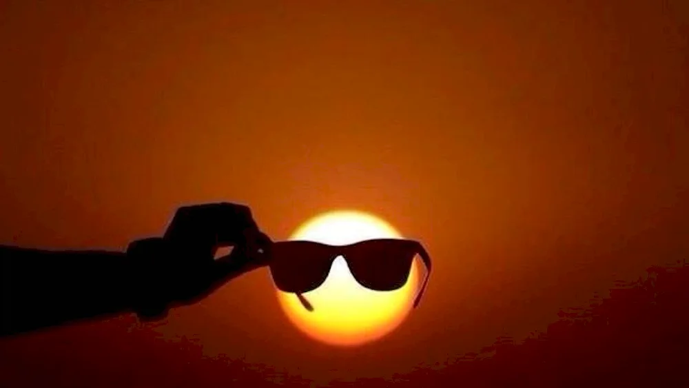 Sunglasses