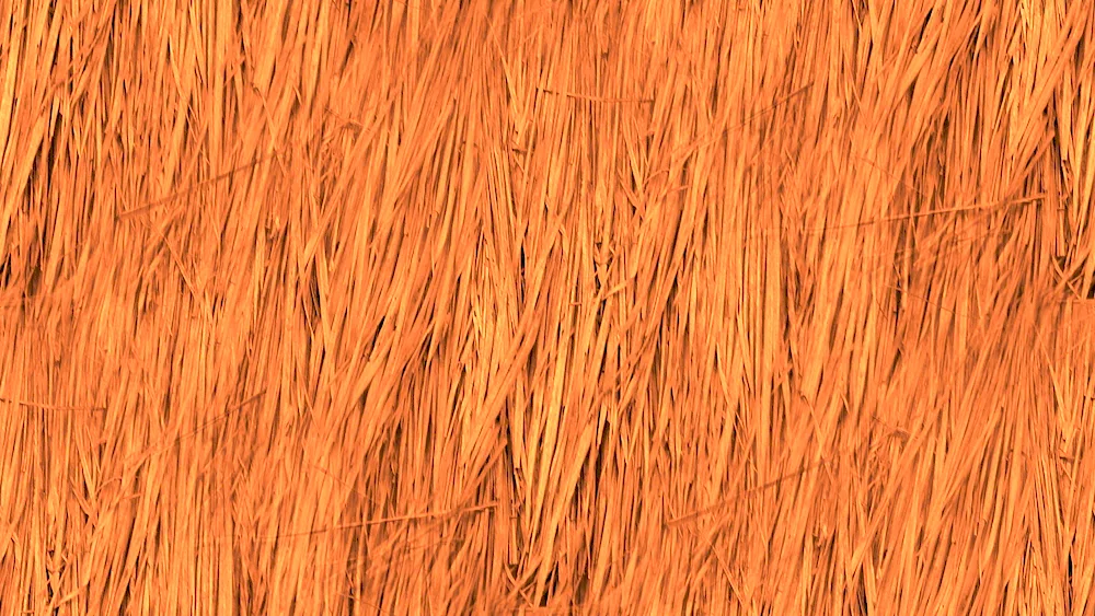 Hair texture