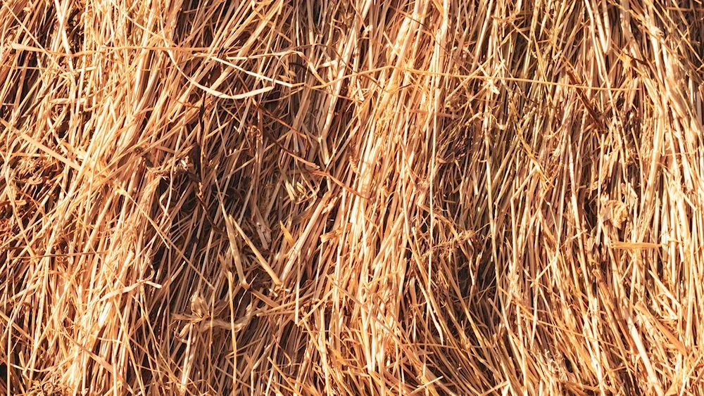Silk texture