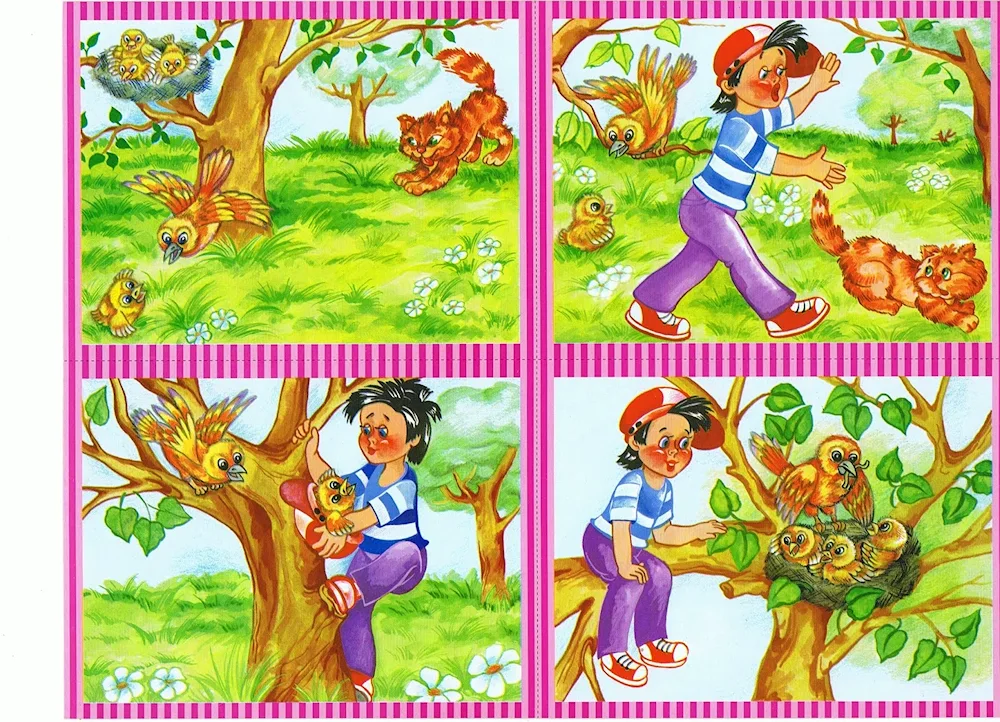 Storytelling from pictures