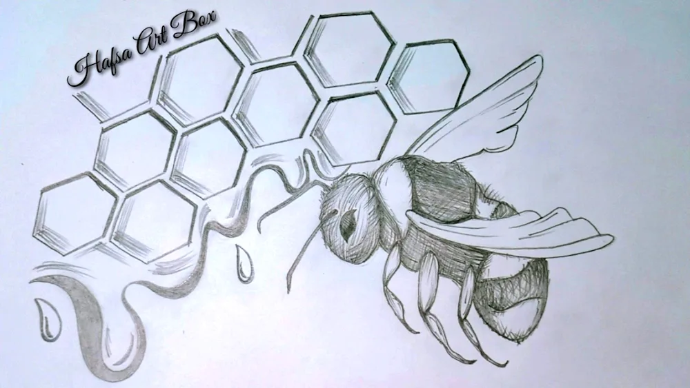Beeeeeeel drawing