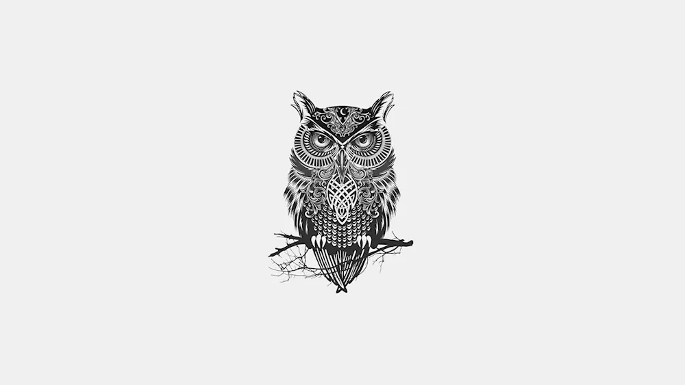 Sowl backgrounds for desktop. Minimalism