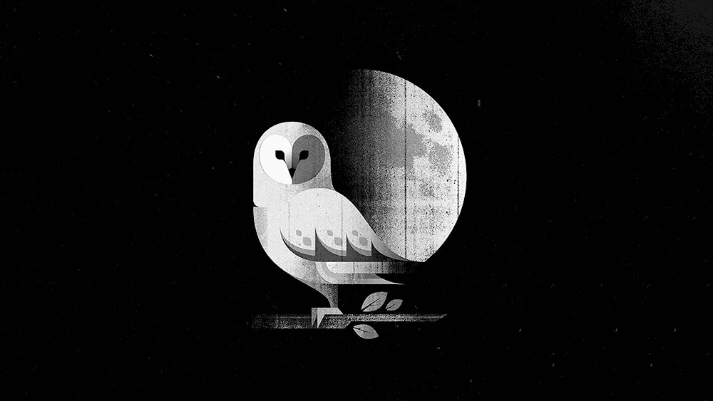 Drawings on black background
