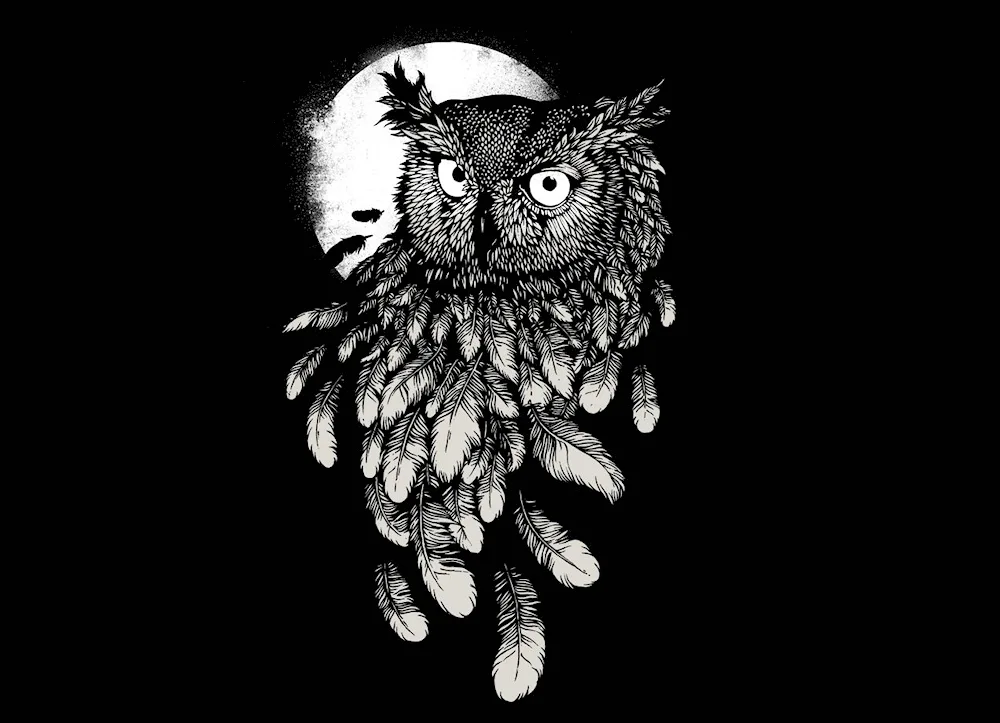 Owl on black background